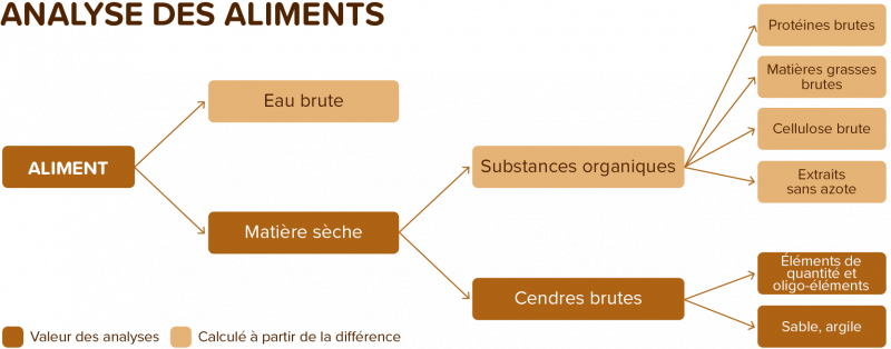 Représentation schématique des composants des aliments pour chiens et chats